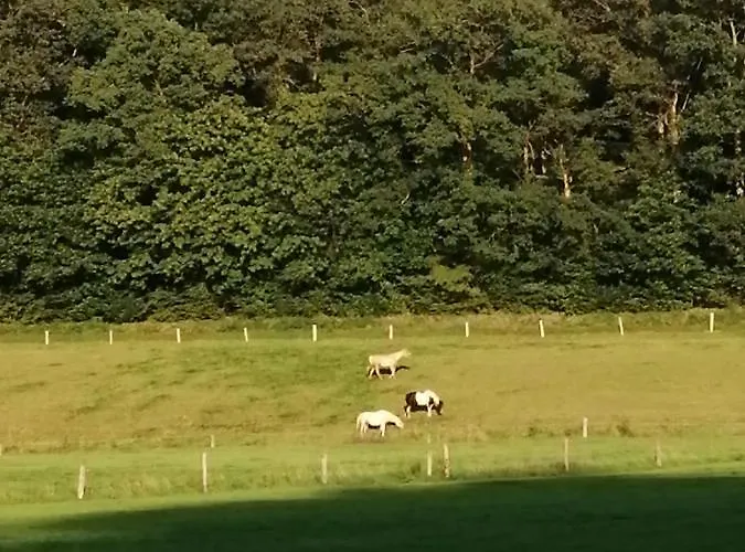 Camping 94 La Boverie